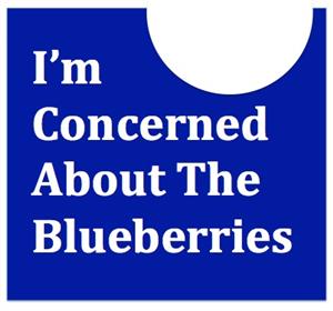 The Blueberry Project