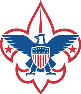 An update from our local Boy Scouts