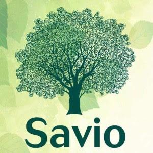 Update on Savio House