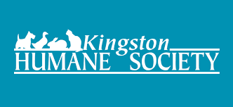 Kingston Humane Society - What's New?