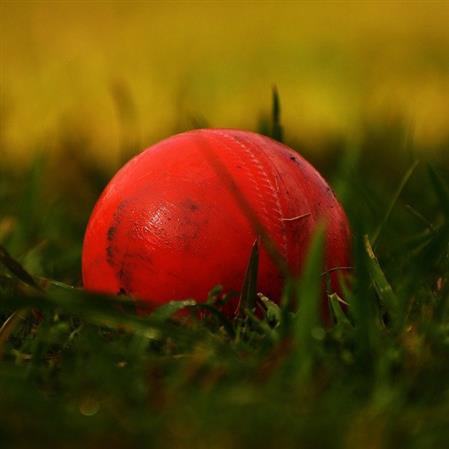 cricket ball in the grass