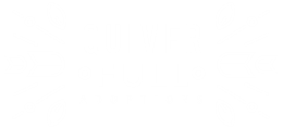 Quiver Full Adoptions
