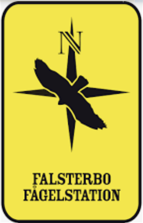 Besök Falsterbo fågelstation