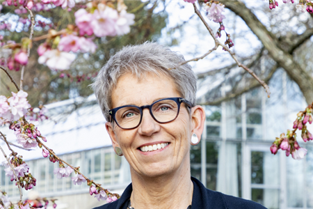 Hälsosamt åldrande, professor Susanne Iwarsson.