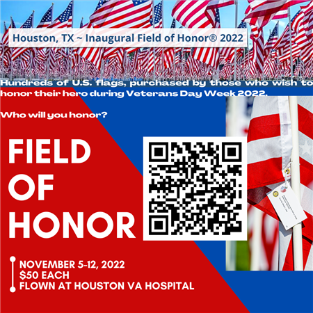 Veterans Day Field of Honor Flag Display