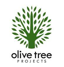 Olive Tree Projects (Haiti) update