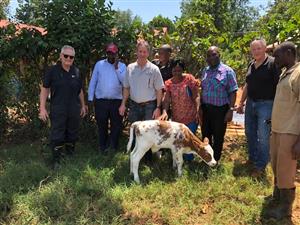 Uganda Dairy Project