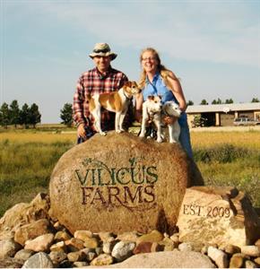 Vilicus Farms - Pollinators, Prairie and People: Why Organic Agriculture Matters in Montana