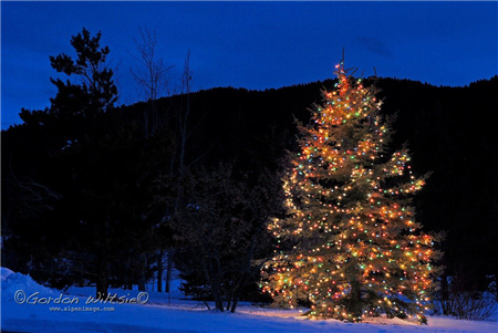 Town of Plattekill Annual Christmas Tree Lighting