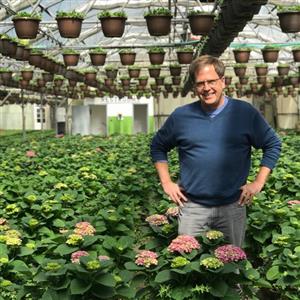 History of Leider Greenhouses of Buffalo Grove