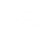 Quarterly City of Mill Creek Update
