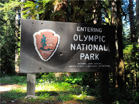 Elwha River Olympic Service Day