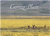 Carrizo Plain — America's Serengeti