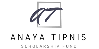 Update on the Anya Tipnis Foundation