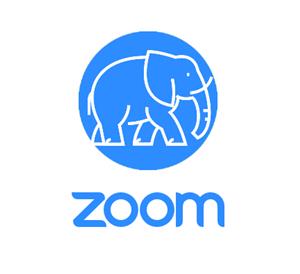 Elephants On Zoom