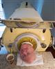 The Man In The Iron Lung