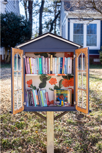 Little Free Library Construction