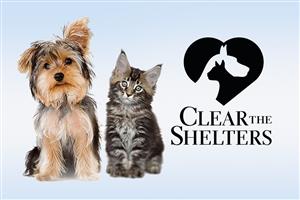 Clear The Shelters 2021 Event