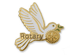 Rotary Peace Scholarship