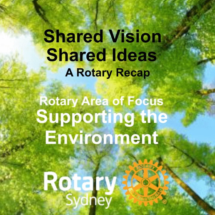 Shared vision, shared ideas: A Rotary Recap