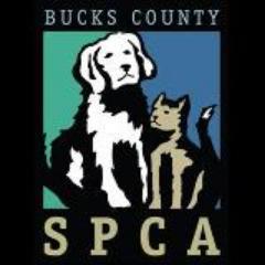 Chief Humane Society Police Officer at BUCKS COUNTY SPCA