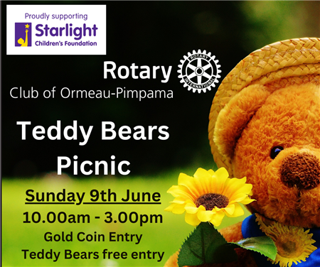 Teddy Bears Picnic (Ormeau-Pimpama)