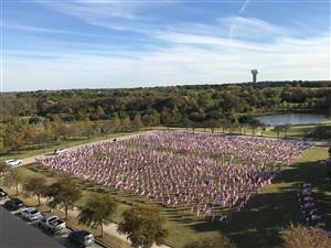 North Texas Field of Honor
