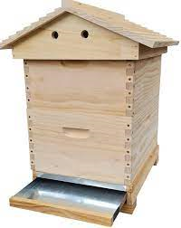 Honey bees in your backyard
