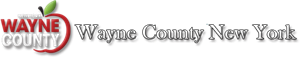 Update on the Wayne County Drug Court