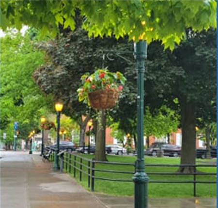 Hang Rotary Flower Baskets in Downtown Carlisle