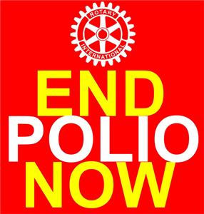 Why Polio Matters
