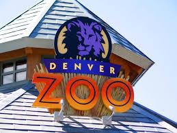 What's Happening at the Denver Zoo during Covid