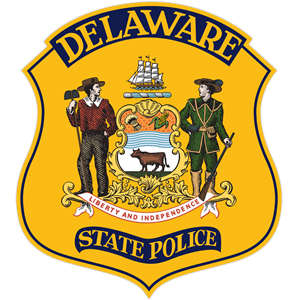 Delaware Troop 9 Update