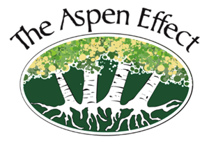 The Aspen Effect -  A Community Connection