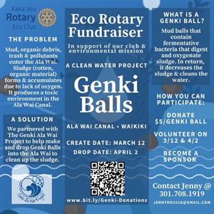 Genki Balls Project - Cleaning the Ala Wai canal!