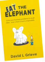 'Eat The Elephant' the experience & how to write a book