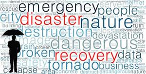 Large Scale Disaster Recovery