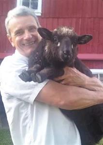 How a Blind Wisconsin Lamb Who Lives on “Blind Faith Farm” Continues to Change Many Lives  